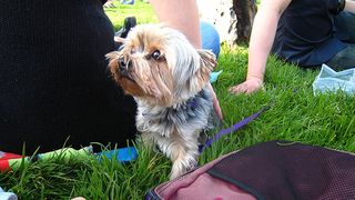 IMG_0855