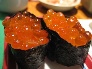 33971453_ce8a567167jpg.jpg