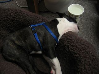 24608764_f7b47a6b9ejpg.jpg