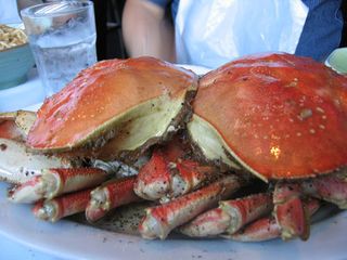 23289737_8efcbaf6b9jpg.jpg